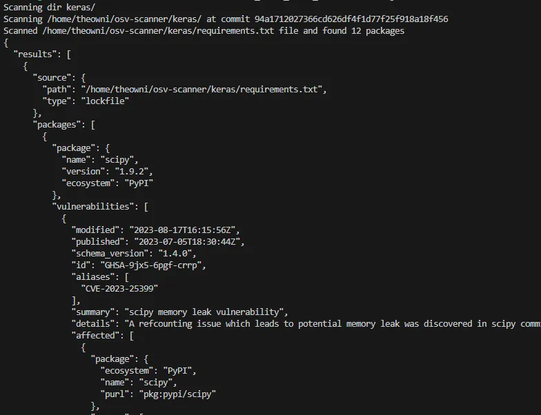 JSON Output Format From osv-scanner